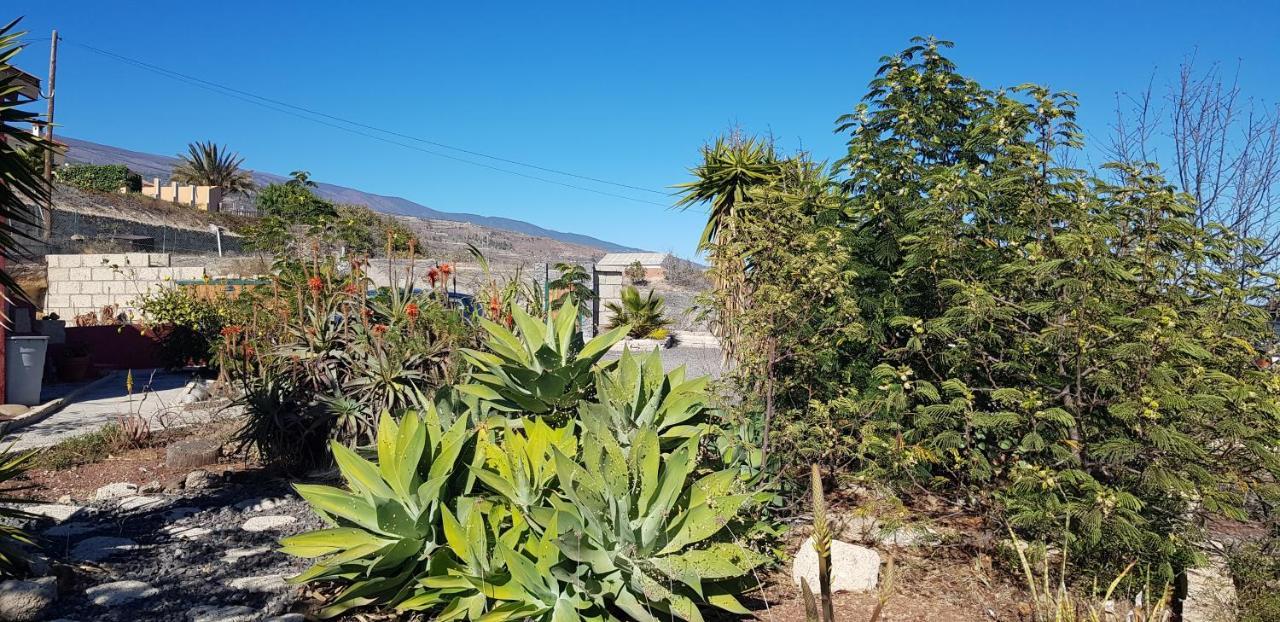 Alojamiento Unico Y Tranquilo Arico Con Fibra Optica Exterior foto